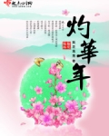 灼华年