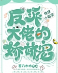 快穿小祖宗:反派大佬的娇娇宠