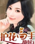 护花高手