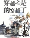 穿越之是的穿越了