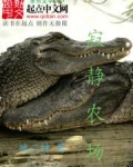 寂静农场