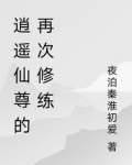 逍遥仙尊的再次修练