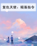 复仇天使：殒落指令