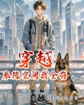 穿越系统空间我全有