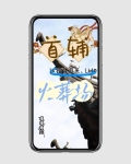 首辅认错白月光，让他火葬场