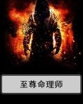 至尊命理师