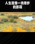 言情故事 八月长安