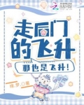 走后门的飞升，那也是飞升！