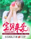 宝贝来袭,抱得总裁归