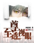 至尊透视眼