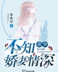 帝少，不知娇妻情深