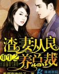 重生之渣妻从良养总裁