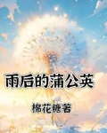 雨后的蒲公英
