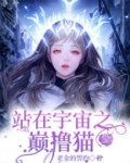 站在宇宙之巅撸猫