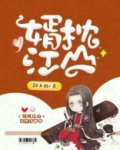 婿枕江山