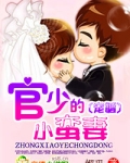 宠婚，官少的小蛮妻