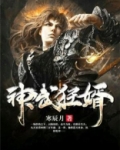 神武狂婿