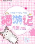 猫游记