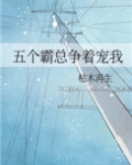 五个霸总争着宠我[穿书]